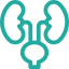 Urology